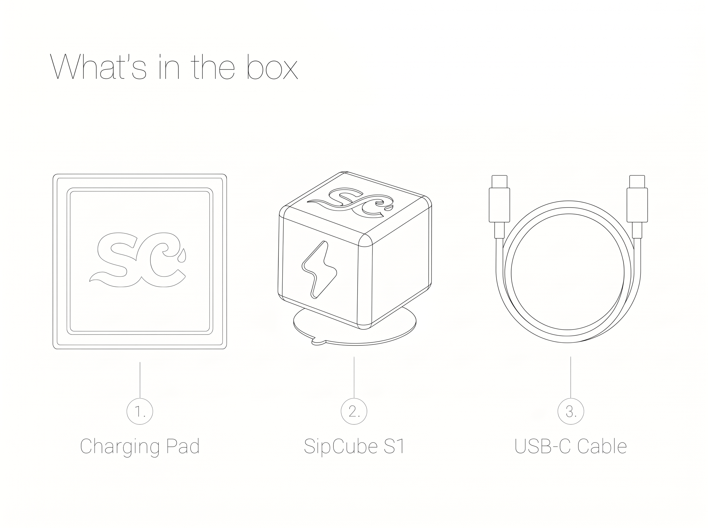 What's in the box